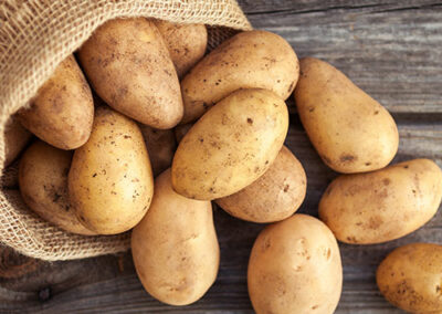 ERP métier pour la filière pomme de terre : du champ à l’assiette, un outil devenu indispensable